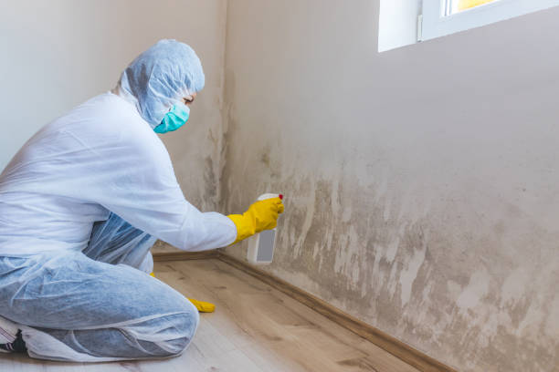 Mold Remediation specialist working in Westminster